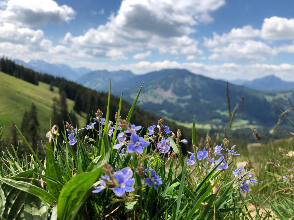 Bergquell Tirol Lägenhet Jungholz Exteriör bild